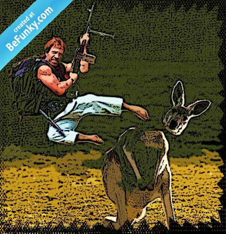 chuck norris cartonizzato