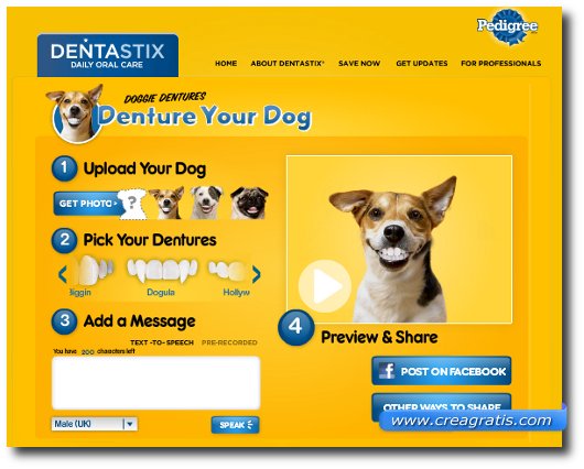 Creare Fotomontaggi Creare Fotomontaggi con la foto del proprio cane