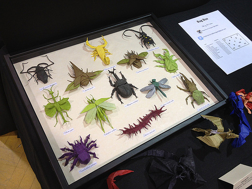 La collezione di insetti Immagine dell'origami La collezione di insetti