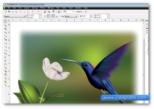 Immagine del programma Corel Draw