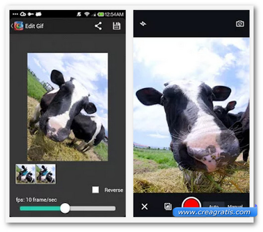 Schermate dell'app GIF Camera per Android