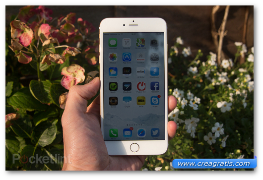 Immagine del phablet Apple iPhone 6 Plus