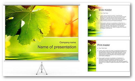 Immagine di un template PowerPoint del sito SmileTemplates