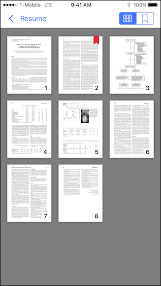 Pagina dei PDF preferiti su iBooks