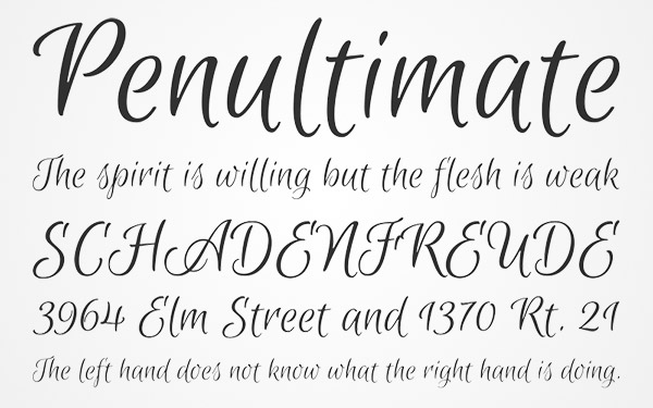 20 Bellissimi Font Femminili Gratis – Euphoria